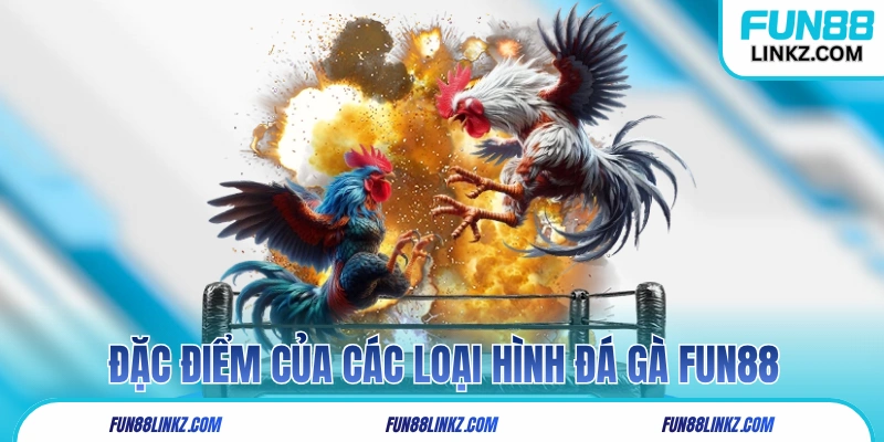 Đặc điểm của các loại hình đá gà Fun88