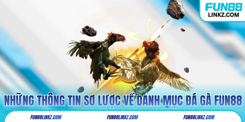 Những thông tin sơ lược về danh mục đá gà Fun88