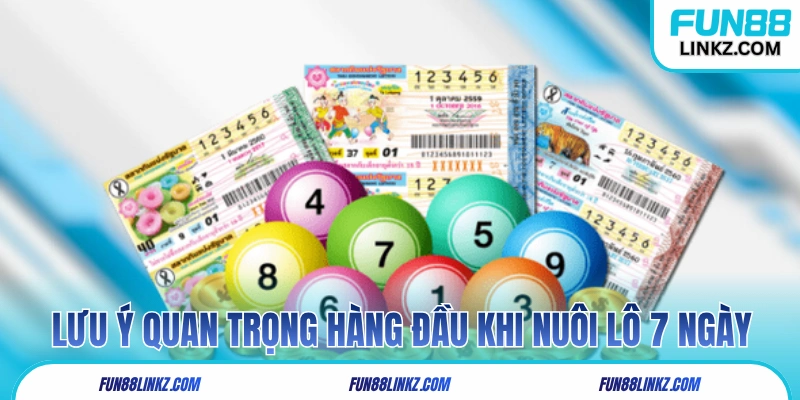 Những lưu ý quan trọng hàng đầu khi nuôi lô 7 ngày